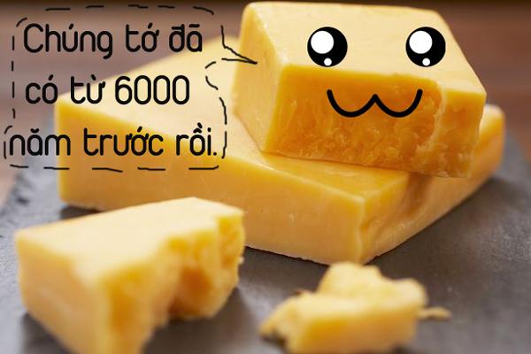 6 sự thật không ai có thể ngờ tới về món ăn mà triệu người đều yêu thích - 1