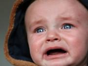 Clip Eva - Bát ăn không bao giờ đổ để các mẹ vừa cho bé ăn vừa dọn nhà đón Tết