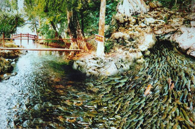 Những địa điểm check-in đẹp mê li ở quê hương thủ môn Tiến Dũng - 11