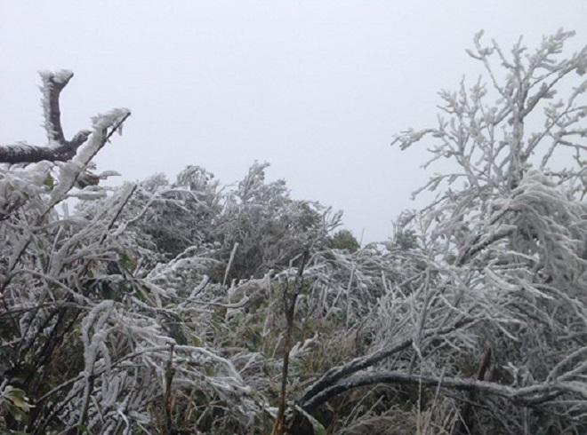 Lạnh -1,4 độ C, băng giá phủ trắng đỉnh Mẫu Sơn - 2