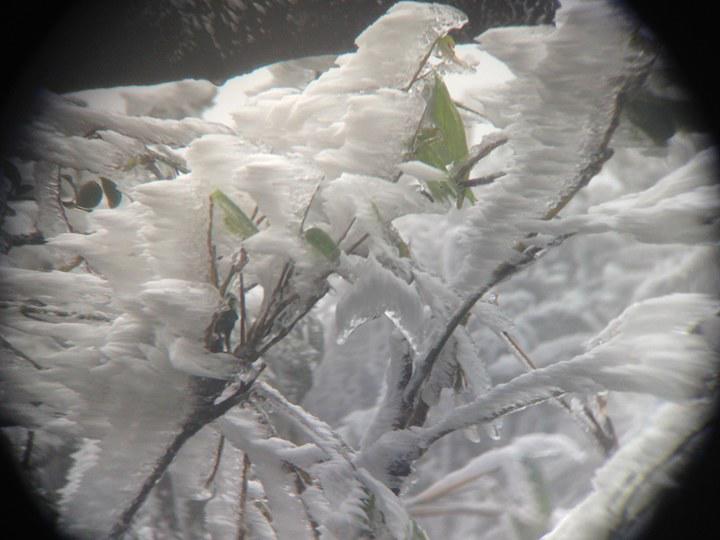 Lạnh -1,4 độ C, băng giá phủ trắng đỉnh Mẫu Sơn - 6