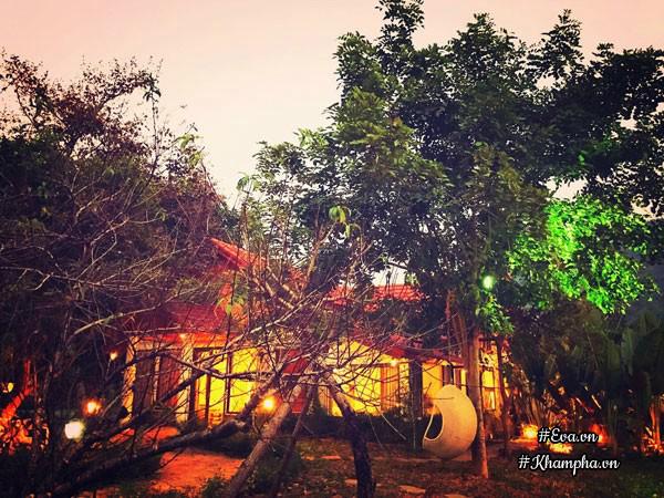 "tha hon" trong nha vuon tho mong 3000m² nhu resort cua nu bien tap vien vtv xinh dep - 4