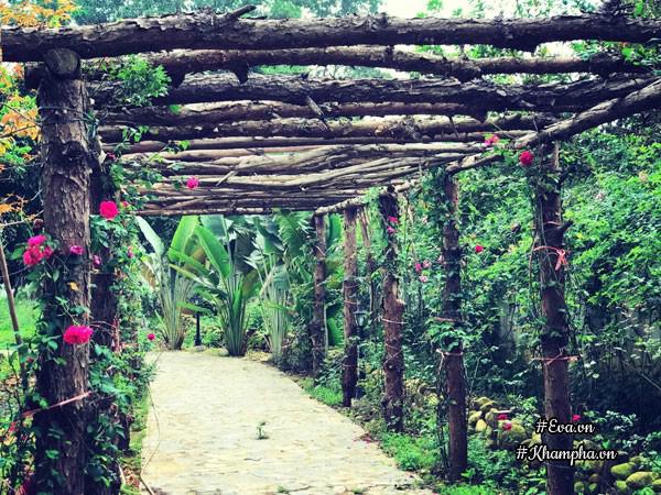 "tha hon" trong nha vuon tho mong 3000m² nhu resort cua nu bien tap vien vtv xinh dep - 6