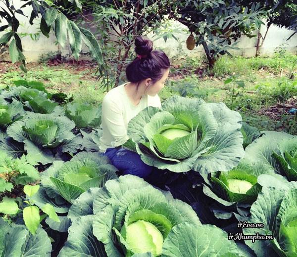 "tha hon" trong nha vuon tho mong 3000m² nhu resort cua nu bien tap vien vtv xinh dep - 15