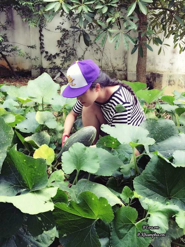 "tha hon" trong nha vuon tho mong 3000m² nhu resort cua nu bien tap vien vtv xinh dep - 18