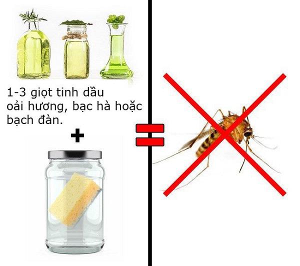 3 cách ᵭuổi sạch muỗi, gián, kiḗn ra khỏi nhà amp;#34;dễ như ăn kẹoamp;#34; mà khȏng cần dùng hóa chất - 3