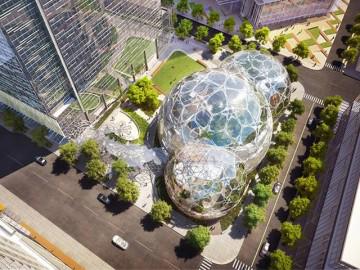 Đi làm như đi... vào rừng, văn phòng mới của Amazon khiến nhân viên quá "choáng váng"