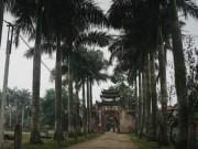 Bếp Eva - Thăm làng giò chả hơn 500 tuổi, cảm nhận nét tinh túy trong từng tế bào thịt