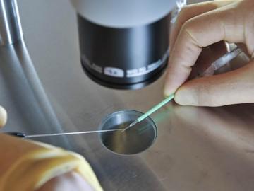 Em bé đầu tiên ở Anh chào đời có tới một bố, hai mẹ ruột