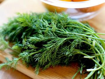 Rau thì là chữa mất ngủ, tăng tiết sữa cho sản phụ