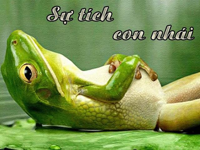 Sự tích con nhái - truyện hay nên đọc cho bé nghe