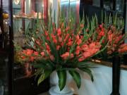 Nhà đẹp - Mua hoa lay ơn chơi Tết, phải biết những mẹo này thì mới chọn được hoa đẹp, chơi lâu