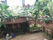 Nhà đẹp - Lơ đào, quất, dân chơi Hà thành "săn" tiểu cảnh nhà ba gian Bắc Bộ chơi Tết