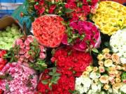 Nhà đẹp - Tinh ý một chút, chị em sẽ chọn được ngay hoa hồng tươi, không ướp lạnh chơi suốt Tết