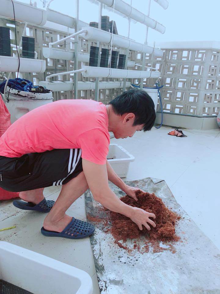 Người hâm mộ thích thú với cây xà lách to như bó hoa của nhà Lý Hải - Minh Hà - 11