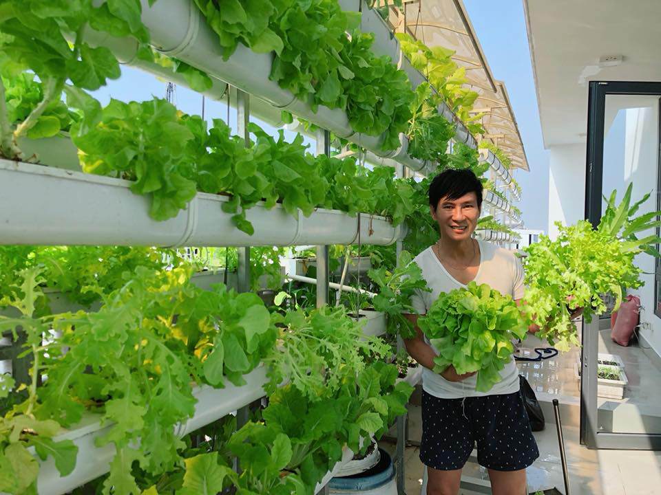 Người hâm mộ thích thú với cây xà lách to như bó hoa của nhà Lý Hải - Minh Hà - 2