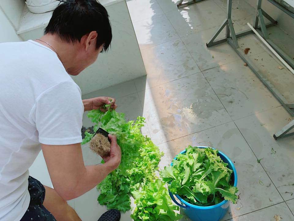 Người hâm mộ thích thú với cây xà lách to như bó hoa của nhà Lý Hải - Minh Hà - 6