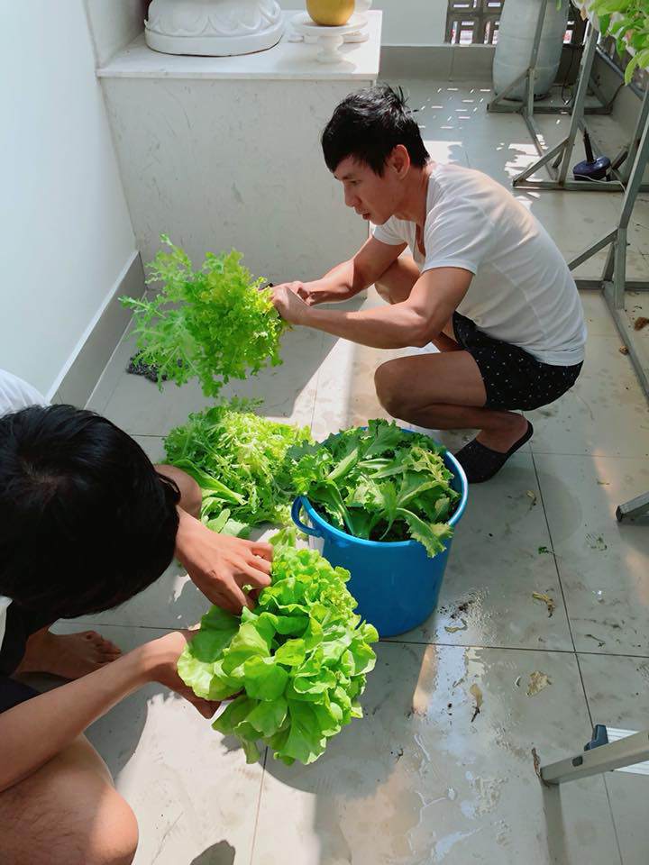Người hâm mộ thích thú với cây xà lách to như bó hoa của nhà Lý Hải - Minh Hà - 7