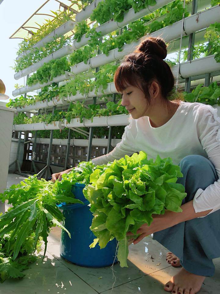 Người hâm mộ thích thú với cây xà lách to như bó hoa của nhà Lý Hải - Minh Hà - 3