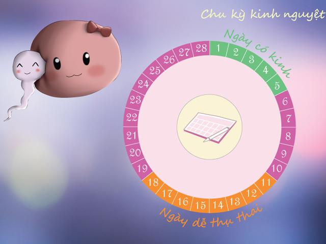 Cách tính ngày an toàn để quan hệ không phải ai cũng biết