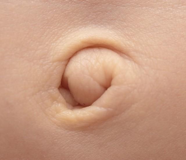 10 sự thật giật mình về bộ phận ai cũng có nhưng chẳng được quan tâm - 5