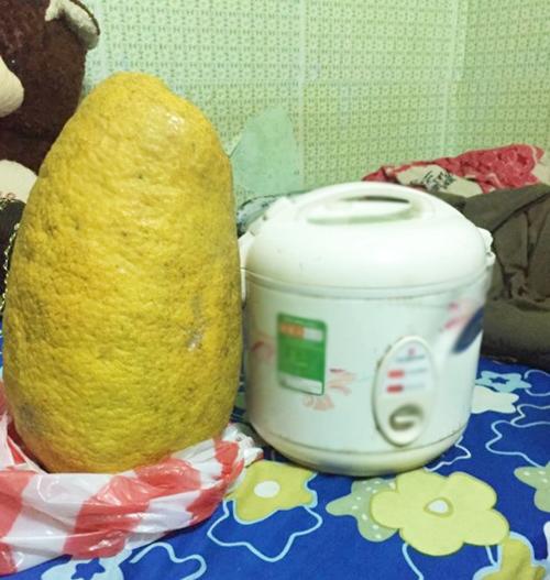 Chàng trai khoe được tặng bưởi khủng thờ Tết, dân mạng được phen bóc mẽ sự thật - 2