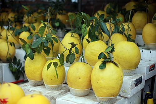 Chàng trai khoe được tặng bưởi khủng thờ Tết, dân mạng được phen bóc mẽ sự thật - 9