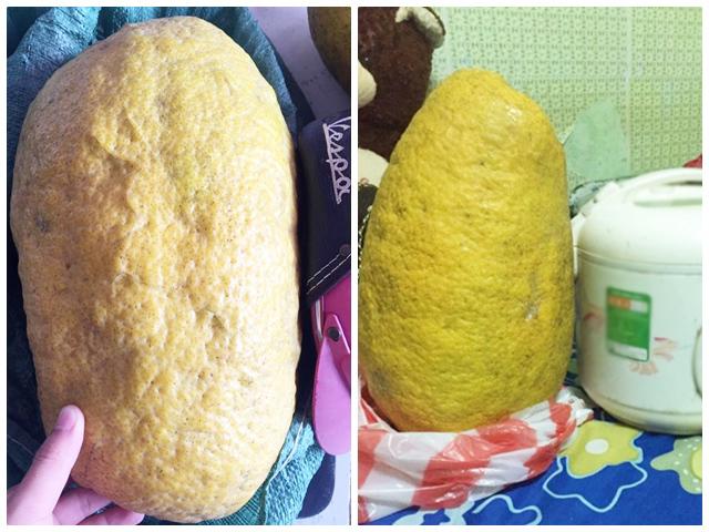 Chàng trai khoe được tặng bưởi khủng thờ Tết, dân mạng được phen bóc mẽ sự thật