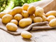 Sức khỏe - Nhìn thì "cục mịch" nhưng loại củ này được chuyên gia ca ngợi hết lời về công dụng