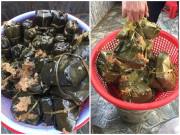 Bếp Eva - Chàng trai than gói bánh chưng hỏng bét, dân mạng liền bóc mẽ lỗi sai