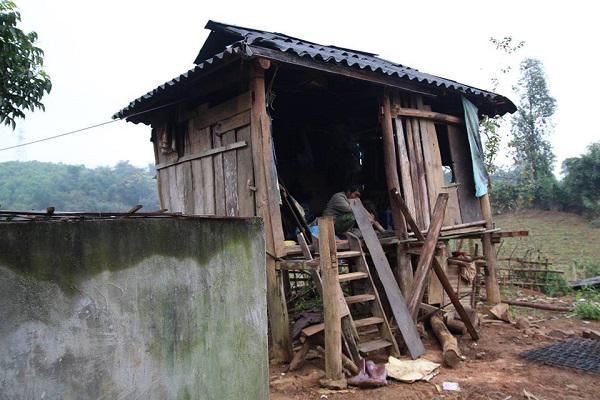 Sự sống hồi sinh ở “vùng đất chết” nơi chôn vùi 18 người trong vụ sạt lở đất xóm Khanh - 10