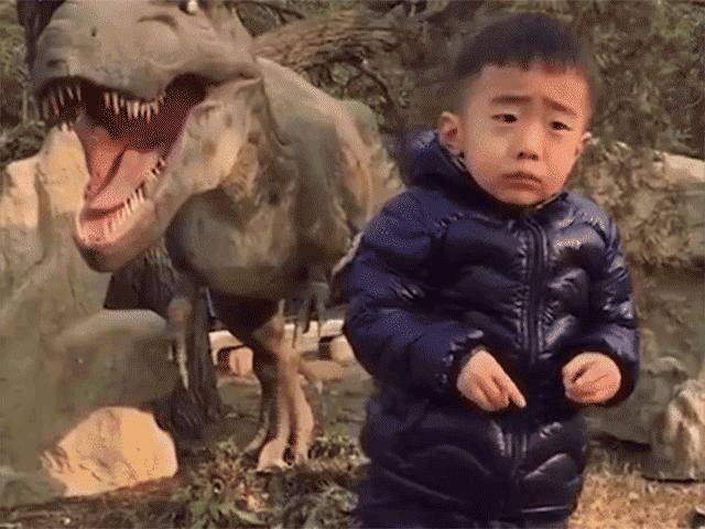 Cười bò với cậu nhóc