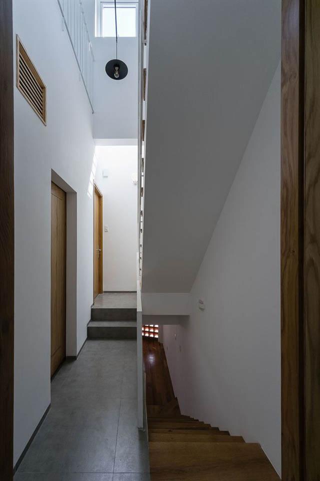 nha vua hep vua meo o sai gon lai duoc bao my ngoi ca nhu kiet tac - 14