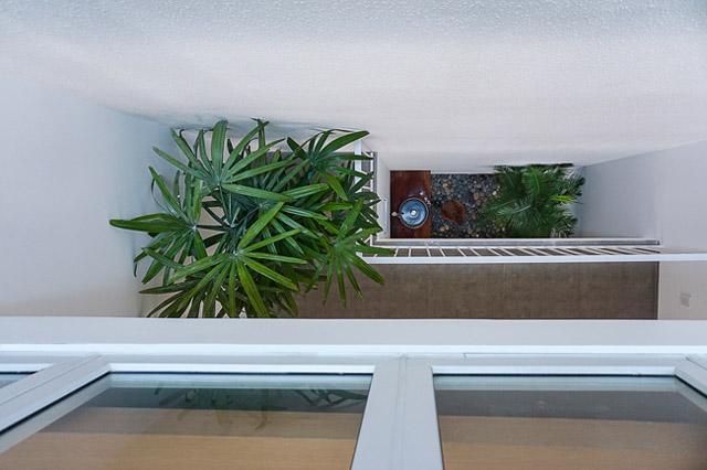 nha vua hep vua meo o sai gon lai duoc bao my ngoi ca nhu kiet tac - 19