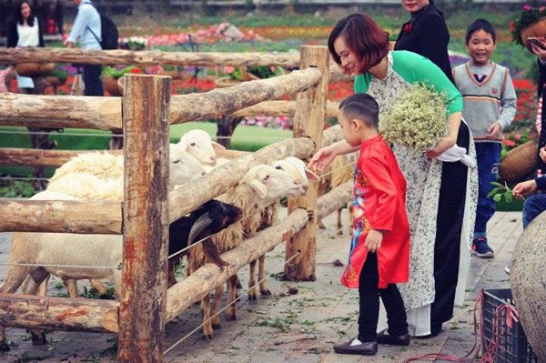 Check – in ngay tại Thung lũng hoa lớn nhất Thủ đô - 4