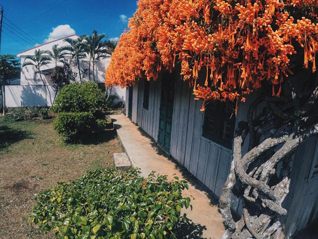 xuat hien ngoi nha phu kin hoa xac phao mau cam tren mai khien dan tinh "ran ran" muon den - 5