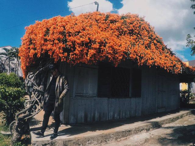 xuat hien ngoi nha phu kin hoa xac phao mau cam tren mai khien dan tinh "ran ran" muon den - 7