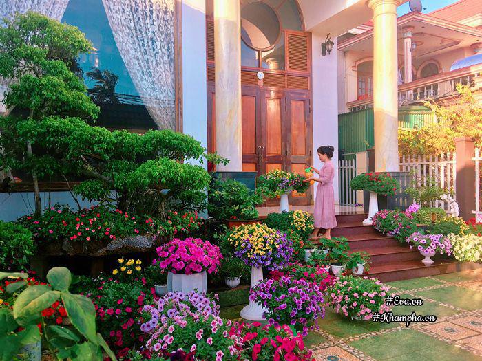 Ngẩn ngơ trước vườn hoa dạ yến thảo rực sắc trước sân nhà của bà mẹ xứ Huế mộng mơ - 1