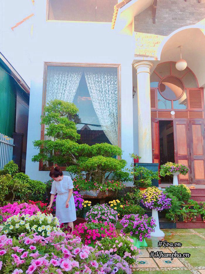 Ngẩn ngơ trước vườn hoa dạ yến thảo rực sắc trước sân nhà của bà mẹ xứ Huế mộng mơ - 16