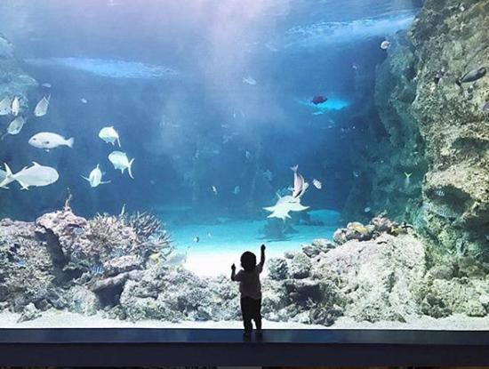 Hình ảnh mới nhất của con trai Tăng Thanh Hà trong chuyến nghỉ dưỡng cùng bố mẹ - 5