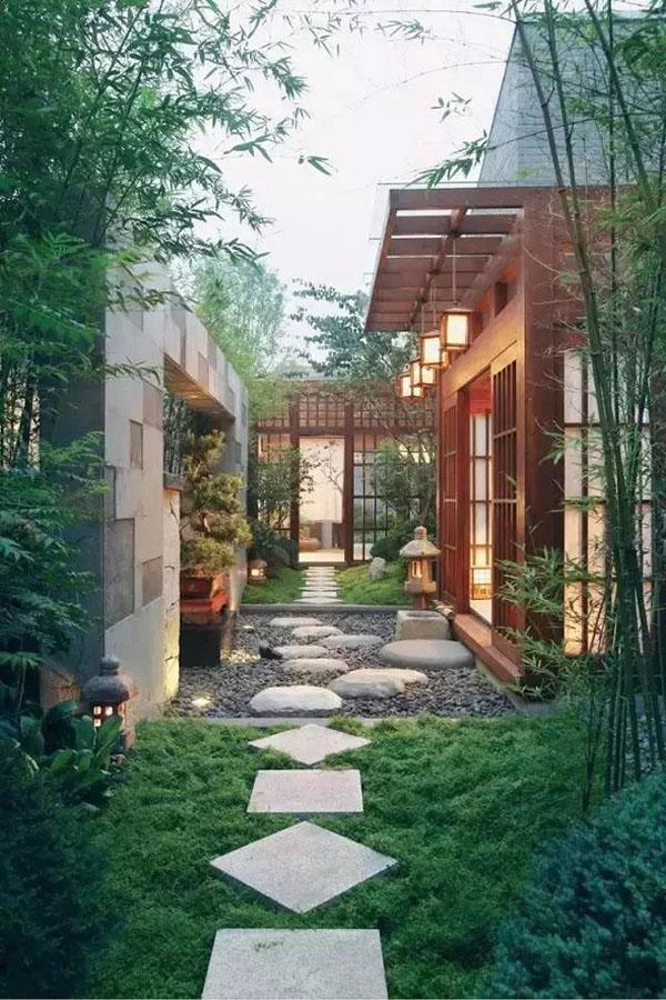 sung so truoc tuyen tap biet phu trung hoa dep tua chon bong lai - 10