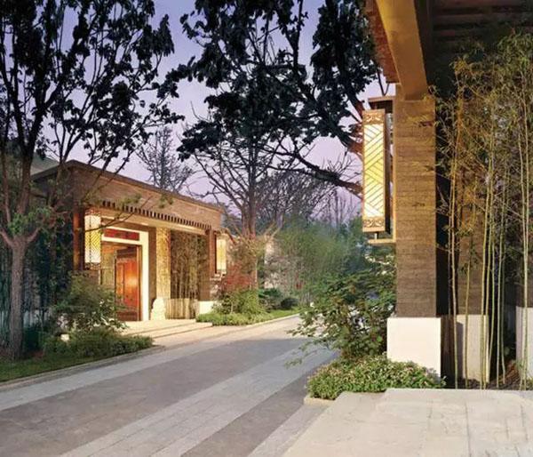 sung so truoc tuyen tap biet phu trung hoa dep tua chon bong lai - 11