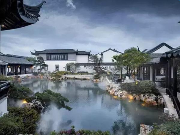 sung so truoc tuyen tap biet phu trung hoa dep tua chon bong lai - 5