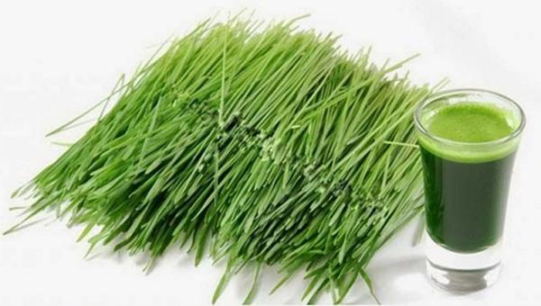 Đếm đúng 100 ngày tưa nước lá hẹ vào nướu, trẻ mọc răng sẽ không bị sốt? - 2