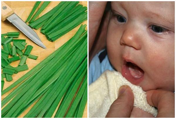 Đếm đúng 100 ngày tưa nước lá hẹ vào nướu, trẻ mọc răng sẽ không bị sốt? - 5