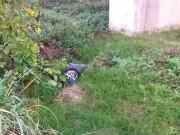 Tin tức - Uẩn khúc vụ thi thể xuất hiện sau 18 ngày mất tích