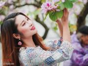 Du lịch - Hà Nội: Hoa ban nở dịu dàng, chị em "lên đồ" chụp ảnh cực đẹp