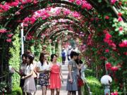 Du lịch - Náo nức tham gia lễ hội hoa hồng Bulgaria lớn nhất Việt Nam