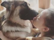 Sức khỏe - Đăng ảnh con được chó cưng liếm mặt, bà mẹ bị "ném đá" dữ dội