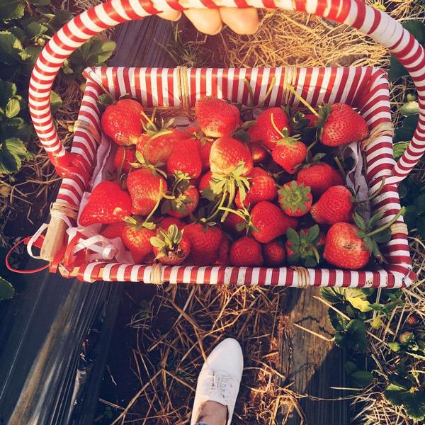 Lên Mộc Châu ngắm hoa ban nở, nếm đặc sản cao nguyên đến amp;#34;quên cả đường vềamp;#34; - 11